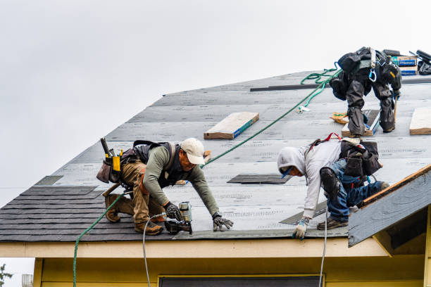 Professional Gutter Installation technician working in Fontanelle, IA